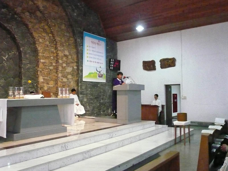 P1000330_01.jpg