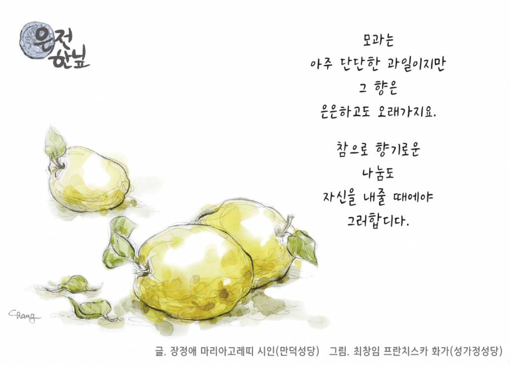 은전 한닢 - 2019년 1월 20일 연중 제2주일 천주교부산교구