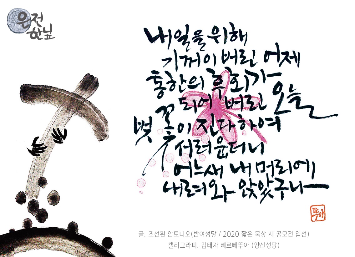 은전 한닢 - 삶의 여유 천주교부산교구