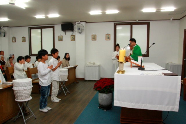 IMG_9008.jpg