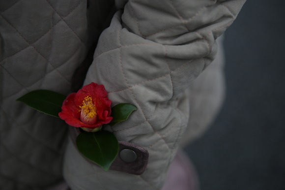 IMG_3648.jpg