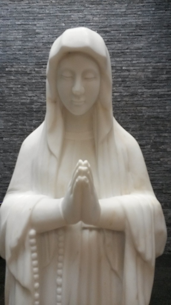 20160504_111605.jpg