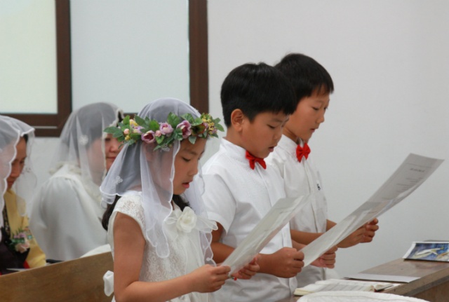 IMG_8517.jpg