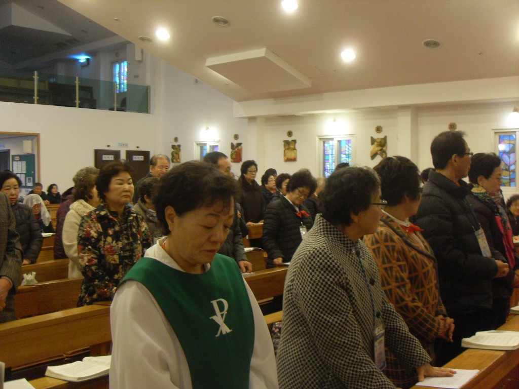 SDC16210.JPG