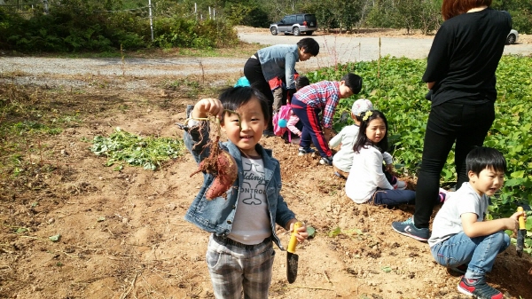 크기변환_1_(41).jpg