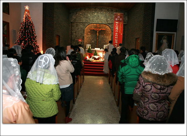 IMG_7532.jpg