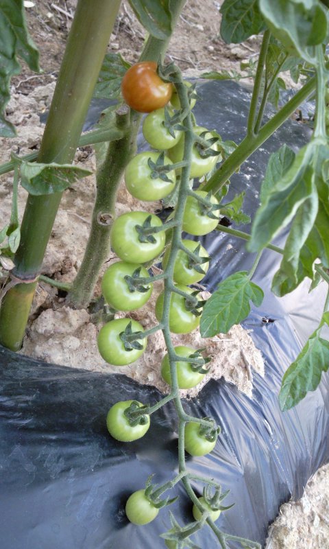 2012-06-21_18_57_51.jpg