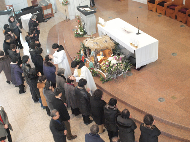P1088804-1.jpg