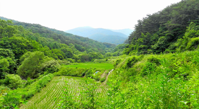inbo_natu_3_01.jpg