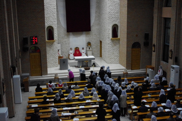 IMGP1655.jpg