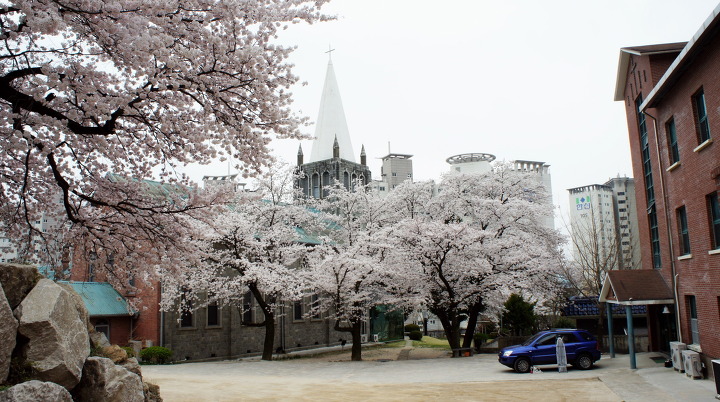 DSC01743.jpg