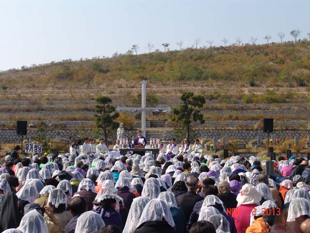 DSC02141-1.jpg