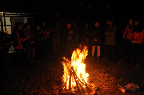 1DSC_4311.jpg