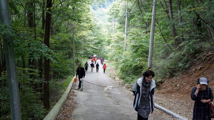 DSC07559.jpg
