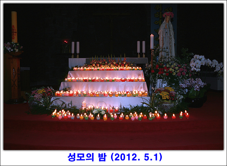 IMG_8287.jpg