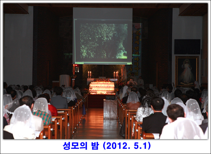 IMG_8247.jpg