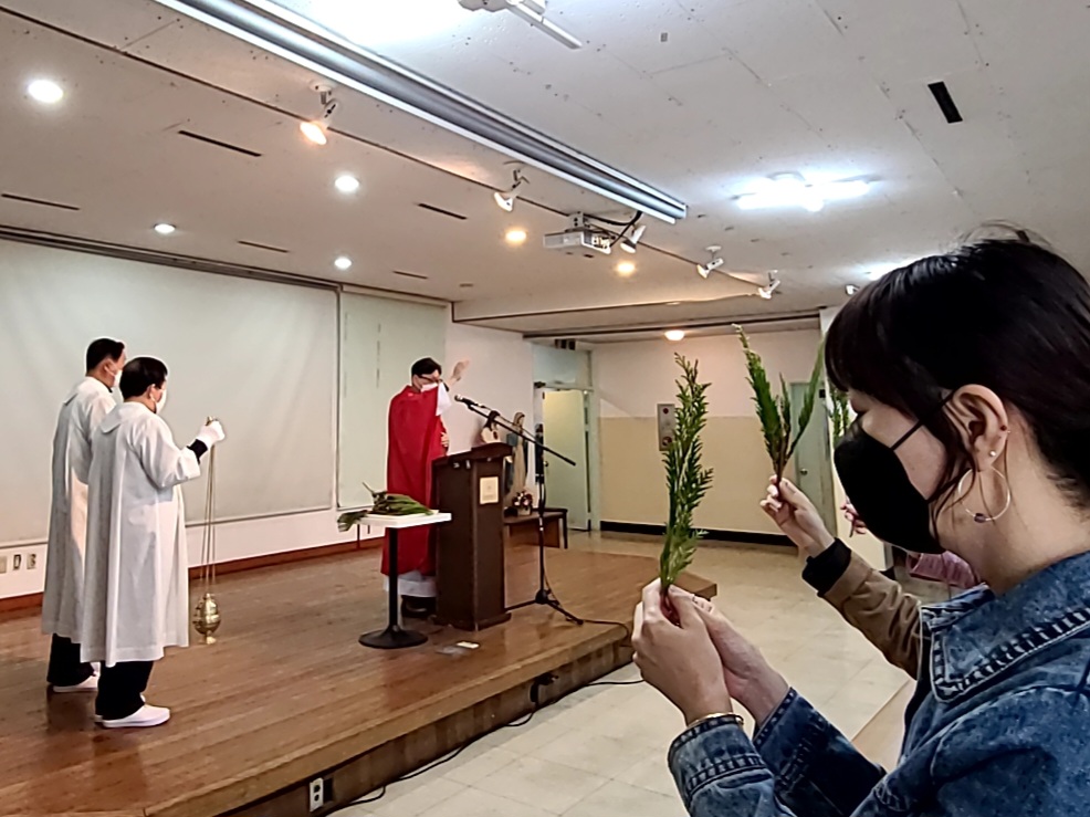 본당 행사 앨범 - 주님 수난 성지 주일(2023.4.2.) 태종대성당