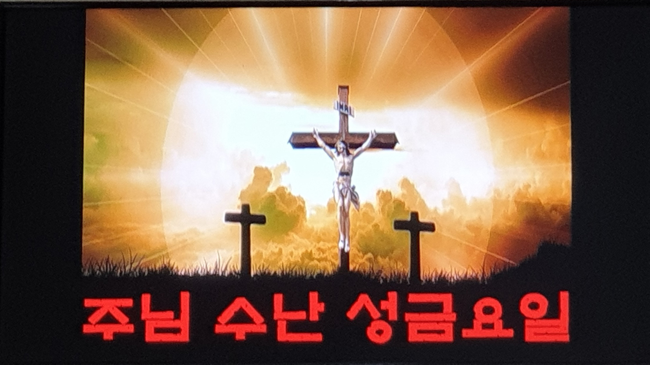 본당행사 사진 앨범 - 주님 수난 성금요일 (2021. 4. 2) 몰운대성당