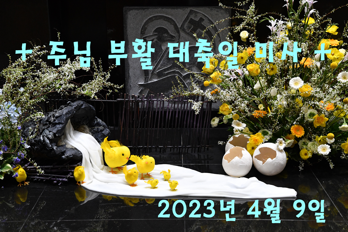 본당행사 사진 앨범 - 주님 부활 대 축일 미사 2023년 4월 9일 # 2 몰운대성당