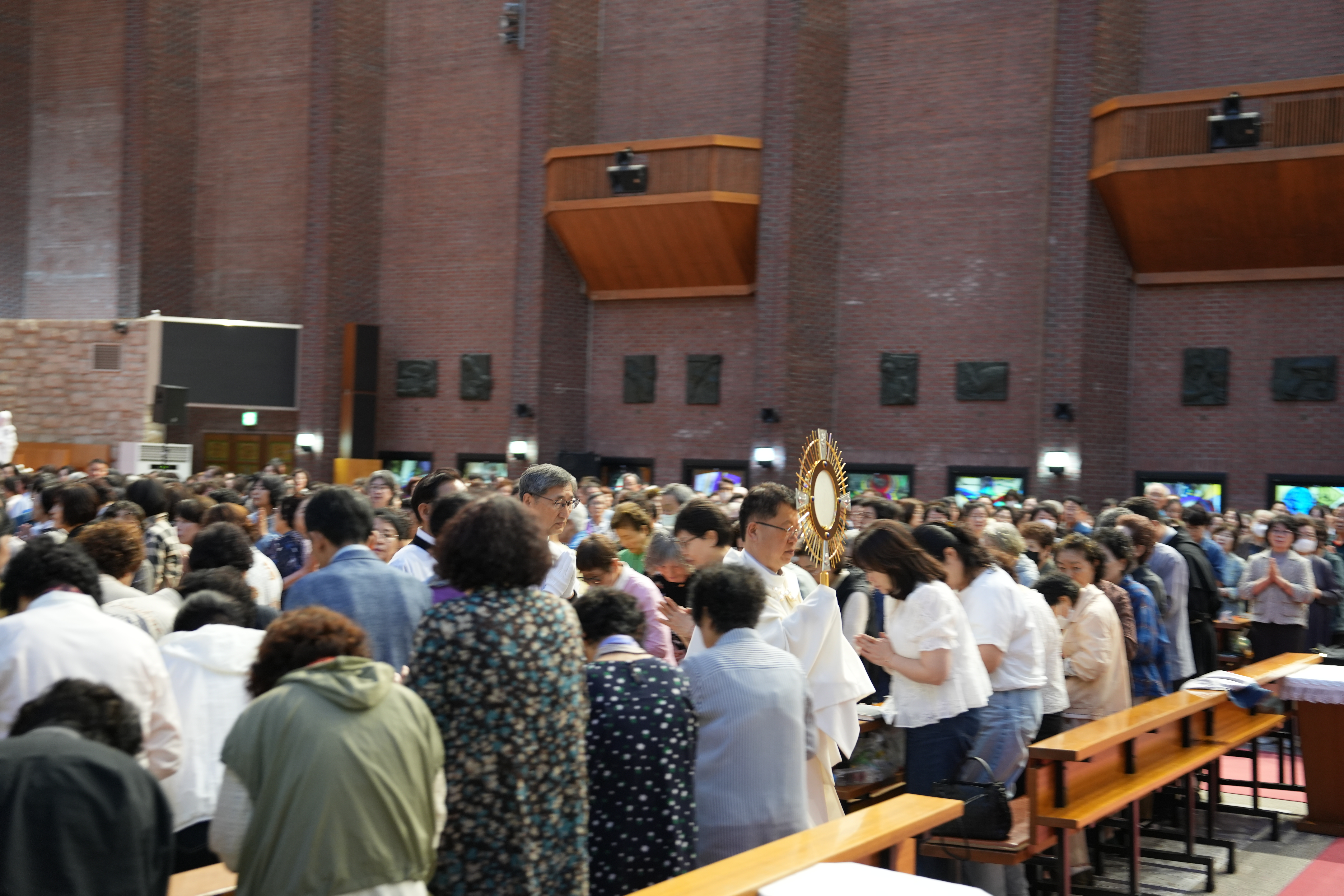 20260608지속적인성체조배회대피정002.JPG